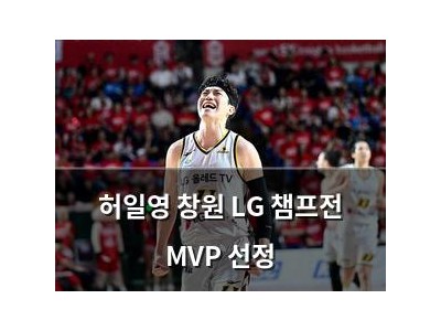허일영 창원 LG 챔프전 MVP 선정