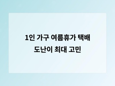 1인 가구 여름 휴가 걱정은 택배 도난이 가장 큰 문제