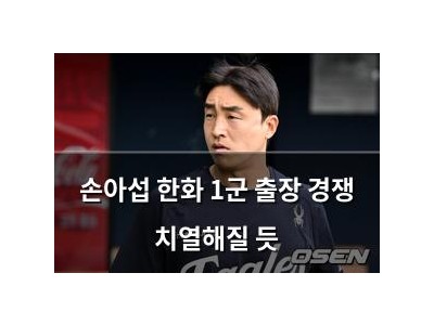 손아섭 한화 1군 출장 경쟁 치열해질 듯