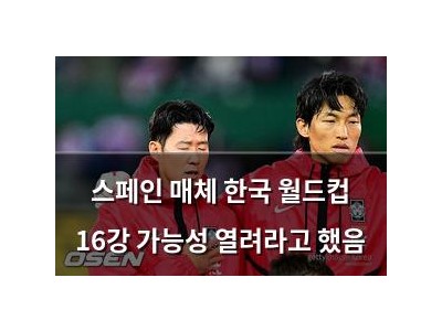 스페인 매체 한국 월드컵 16강 가능성 열려라고 했음