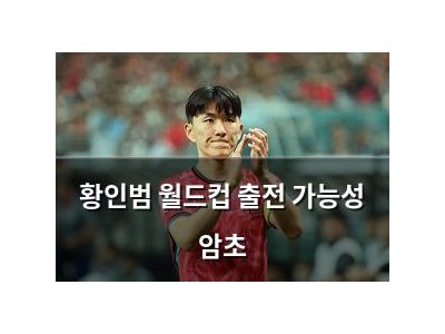 황인범 월드컵 출전 가능성 암초
