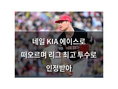 네일 KIA 에이스로 떠오르며 리그 최고 투수로 인정받아
