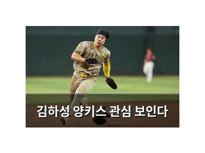 김하성 양키스 관심 보인다