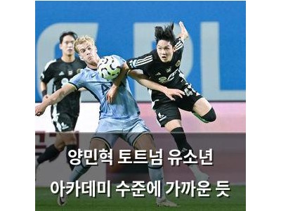 양민혁 토트넘 유소년 아카데미 수준에 가까운 듯