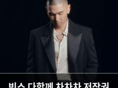 빈스 다함께 차차차 저작권 논란에 휩싸여