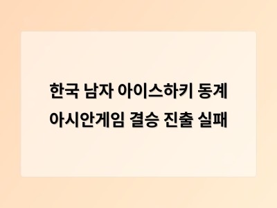 한국 남자 아이스하키 동계 아시안게임 결승 진출 실패