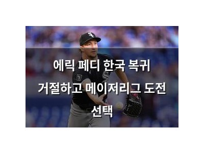 에릭 페디 한국 복귀 거절하고 메이저리그 도전 선택