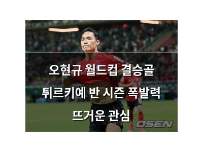 오현규 월드컵 결승골 튀르키예 반 시즌 폭발력 뜨거운 관심