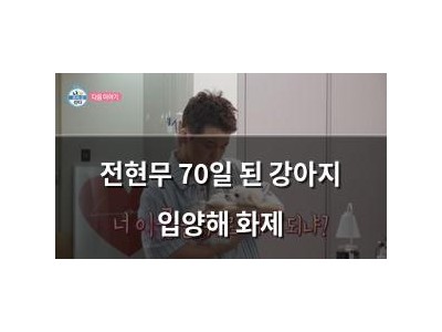 전현무 70일 된 강아지 입양해 화제